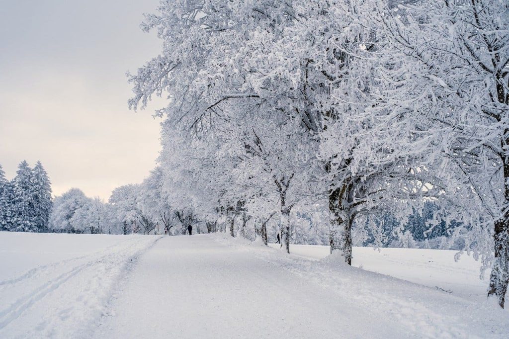 What Is a Snow Squall